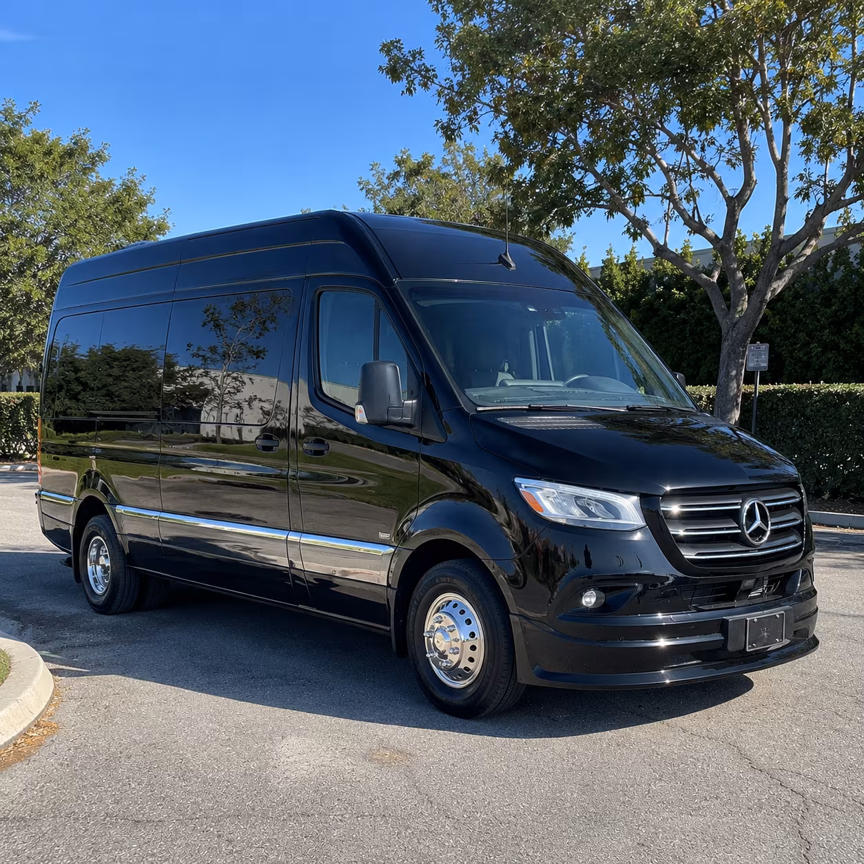 provo sprinter van with driver